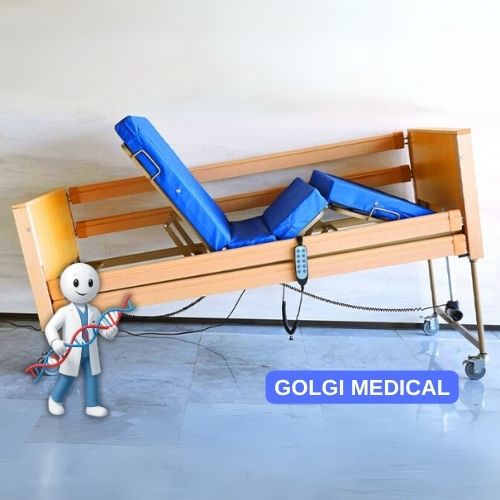 BAE509 5 Function Nursing Home Bed For Disabled People